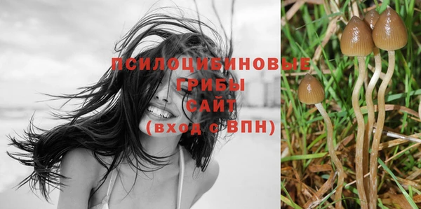 герыч Михайлов