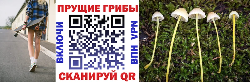 хочу наркоту kraken зеркало Псилоцибиновые грибы мухоморы Руза